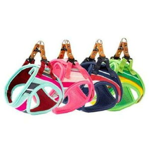 ij[hbO pXe{[_[\tgn[lXM[sN PBSH-SM-PK  pi  4580298524861 {NP}