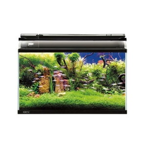 WFbNXij }[i600BKST LEDfAN[Zbg Ϗ܋ pi Ϗ܋p 4972547036759 {SK}