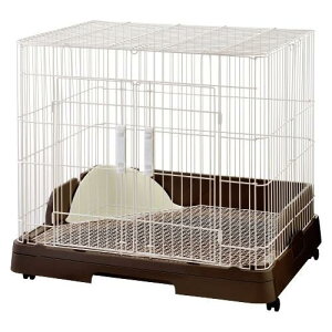 WFbNXij r X}[g[  pi pP[W P[X 4972547036889 {SK}