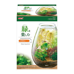 ジェックス(株) グラスアクアリウム キャンドル 観賞魚 用品 観賞魚用水槽 4972547039781 {SK}