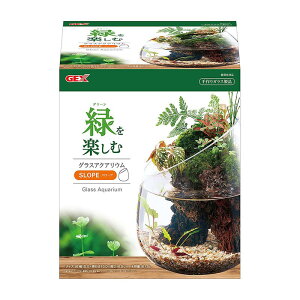 ジェックス(株) グラスアクアリウム スロープ 観賞魚 用品 観賞魚用水槽 4972547039798 {NP}