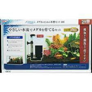 WFbNXij _JC _Ĵ߂̐Zbg400 Ϗ܋ pi Ϗ܋p 4972547041661 {SK}