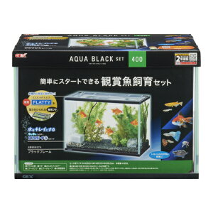 WFbNXij ANAubNZbg400 Ϗ܋ pi Ϗ܋p 4972547042293 {SK}