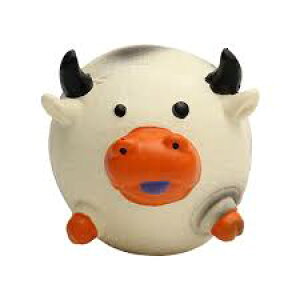 ij[N [v v[s[Y `r[u  pi ߋ AWeBObY 4571357066422 {NP}