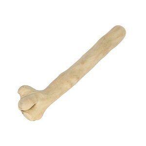 ij[N [v JtFEbh `v L  pi ߋ AWeBObY 4571357067498 {SK}