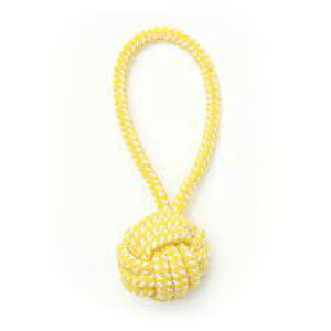 ij[N [v mbeB[ {[1  pi ߋ AWeBObY 4571357067870 {NP}