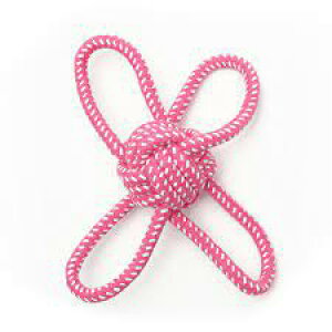 ij[N [v mbeB[ {[4  pi ߋ AWeBObY 4571357067894 {SK}