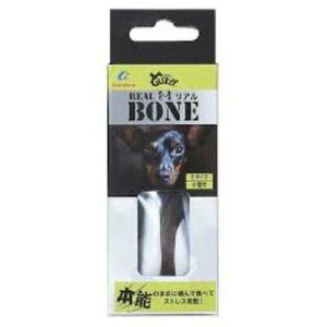 ijG[ACv_Nc KWB[{[ A S  pi ߋ AWeBObY 4580610081508 {NP}