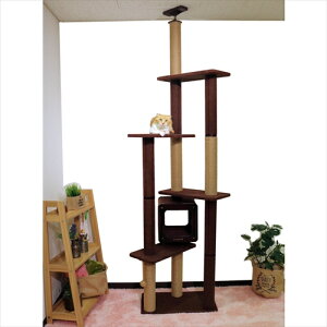 hM[}nV()picƕ _[XNb` ^[_u Lpi pi xbhEQEt@j`[ 4976555841800 {SK}