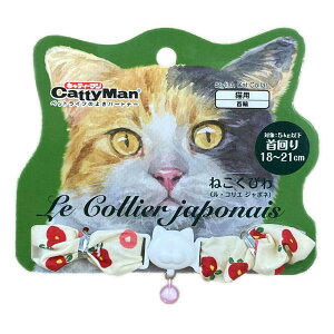 hM[}nV()picƕ ˂т ERG W|l VV  Lpi pi  4976555884166 {NP}