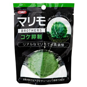 ijCgXC Rbg }uU[Y RP}} MыEANAE Ϗ܋pANZT[pi pioNP}S