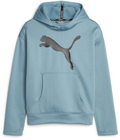 PUMA (プーマ)トレーニング ウィンドブレーカー・ウィンドウェア FAVORITE PWREECE (ファイヴァリイト パワー フリース) レディース 女性用 ジョギング ランニング ジム 【ボルドブルー(38)】 青 522860 {SK}