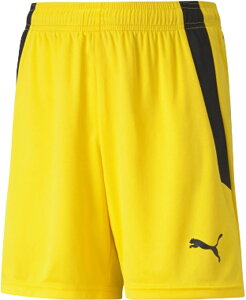 PUMA (v[}) TbJ[EtbgT Q[pc TEAMLIGA (`[[K) Q[pc JR WjAELbY qp  g[jOEFA EGA g[jOpc yTCo[CG[(0