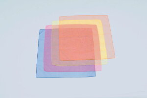 TOEI LIGHTig[GCCgj ̈pi NG[V VXJ[t60 q41gr y}`J[z B2306 {NP}