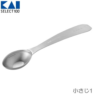 SELECT100 �I�[�o���^�v�ʃX�v�[�� ������1 �L�� DH3132 ��