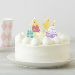 KAMEYAMA BCC HAPPY BIRTHDAY �L�����h�� �M�t�g �~�j �s���N �J�����}���[�\�N B5643-00-10 ��