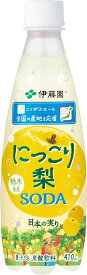 伊藤園 にっこり梨 ソーダ 栃木県産 ニッポンエール(410ml×24本) ニッポンエール