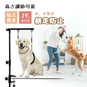 g~Oe[u ܂肽 g~O g~O ܂ ybgp Vv[ Jbg u[ ubVO ܐ؂ oJ