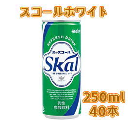 【2ケース】南日本酪農協同 デーリィ スコールホワイト 缶 250mlx20本x2ケース 40本 賞味期限2025年02月07日