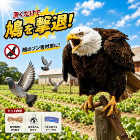 鳩よけ 鳥よけ 鷹 ワシ型 鳥よけグッズ ベランダ 防鳥 鳩除け カラスよけ ツバメ対策 鳥害対策 吊り下げ式 鳥よけ対策グッズ 反射テープ 鈴 ひも付き 簡単設置 畑 農園 屋根 庭