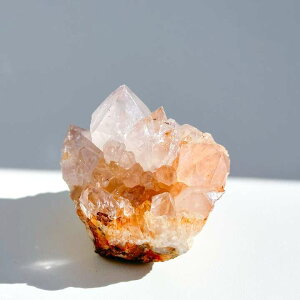 p[Xg[ AWXg  VR v[g 肢EJ^FEEE炬E uX lC  fB[X Y ΁EVR  CeA