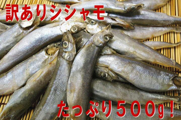 楽天市場】【訳あり：シシャモ500g（オス）】訳あり価格⇒ししゃも500g