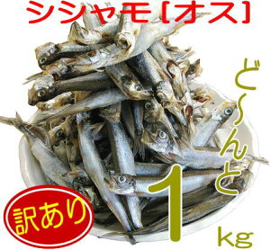 y󂠂FVV1kgiIXjz󂠂艿i˂1kgI󂠂 PA  킯JtgiIXj