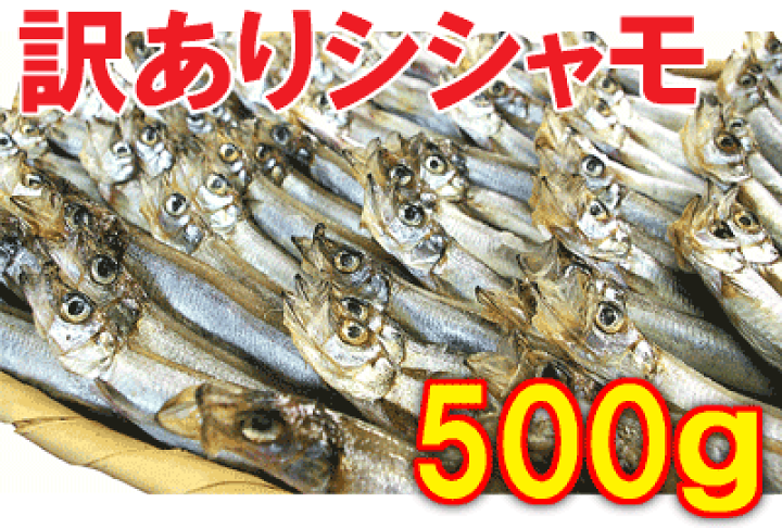 楽天市場】【訳あり：シシャモ500g（オス）】訳あり価格⇒ししゃも500g