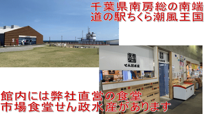 楽天市場 イカメンチ3個入 いかがいっぱい詰まっている人気の商品 揚げるだけでお子様からお年寄りまで喜ばれる ハクダイ食品グルメ村
