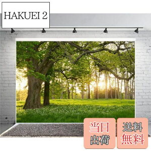 yzQinunipoto wiz 傫Ȗ  ťiF Ő  3m x 2m Bez wi Be wi ʐ^ zwi Bez R̕i ʐ^wiz iʐ^ O̕i ߌ̗[HLO  X̏t 