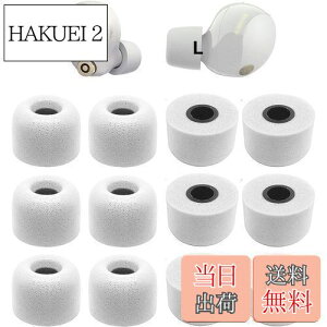 yzmCYLZᔽC[s[X Sonyp 1000xm5p WF-C700np WIV[YCzp WFV[YCzp |E^tH[f E^C[s[X XM5p yLTCY 6