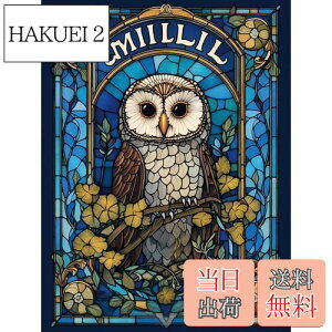 yzReofrey _Ch̊G _ChA[g NXXeb` Lbg tNE, Lbg Sʓ\t^Cv r[YA DIY |Lbgz[ Xg CXg