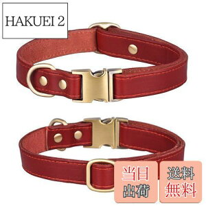 yz  v ̎ _炩 ߉\ ^ ^ ^ pi  ʋC 킢 (, M)