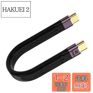 yzYFFSFDC USB Type CtoC P[uy40Gbpsf[^]&PDΉ100W/5A}[d& 8K@60Hzfóz USB-C to USB-C P[u 13.5cm Z USBP[u Mac Book ProANintendo SwitchANexus 6P 5XASam sung Gala