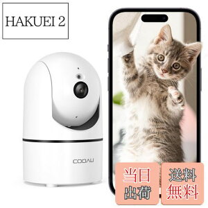 yzy300fEQRR[hWIFIڑzCOOAU J ybgJ ľm Î@\ 360°PTZ@\ H.265 oʘb WiFi hƃJ AlexaΉ ĎJybgp ڑȒP 24h펞