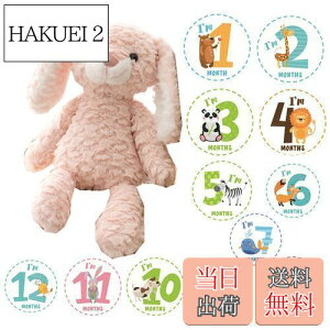 yzJP-SAKURAyKiz BeZbgt t@[XggC  { ʂ }Cxr[Xg v[g (sN )