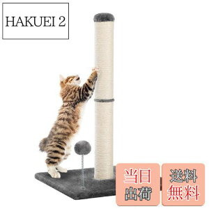 yzPAWZ Road L ܌ SʖR ܌|[ _  c^ L̒܌ TCUR lC Vv ^  ʔ\ ܂ƂLbg^[ X Ly   