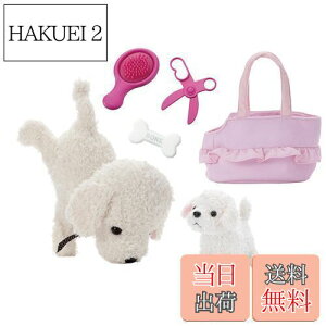 yzZKgCY(SEGA TOYS) RR  ! Ȃ悵Zbg