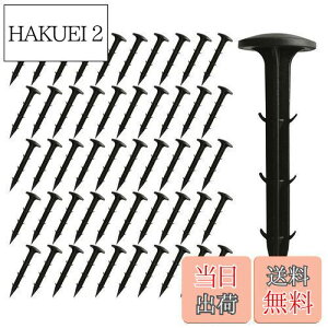 yzXSAJU hV[g Œs 50{ ppY |pV[g hlbgŒ yO B K[fjO ubN