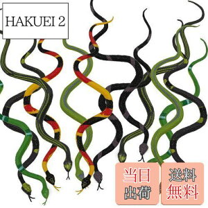 yzHUAZONTOM wr   ߋ A ObY W[NObY hbL Xl[N S ~j 12{ т蔠 U̎ nEB ObY L  K[f  p