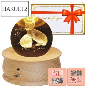 yzyŐVKizIS[ NX}X Mtg Xm[h[ av[g  NX^ {[ Lюc Xm[h[ ̃v LEDCg 1200mAhobe[ Ԑڏ