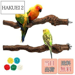 yzHreaiaps 2{Zbg CR Ƃ܂ VRuhE̖ ܂Ƃp[` CR ~܂ ܂ X^h } CR   ނ pi xݏꏊ CR 