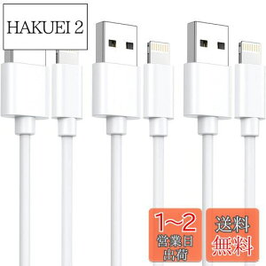 yziphone [d P[u CgjOP[u MFiFؕiy1M 3{Zbgz[dR[h }[d lightning fh~ ϋv iphone 14/13/13 Pro/12/11/X/8/8plus/7/6/ iPad eΉ