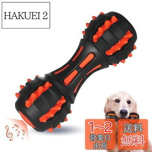 yzAUSCAT  ̏o邨 ނ mߋ VRS _x pߋ  XgX ^E^iԁj