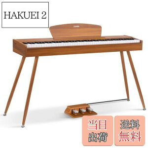 yzDonner dqsAm 88 n}[ANbV 3{y_ X^h A_v^[t { F DDP-80