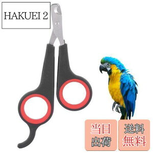 yzFTVOGUE ̒ܐ؂, o[hP[WGbZVANZT[Ao[hO[~Oc[AANZT[\bhXeXX`[o[hlCNbp[AybgV