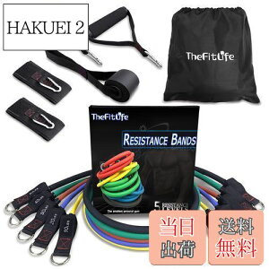 yzTheFitLife g[jO`[u `[u g[jO ؃g`[u (////)