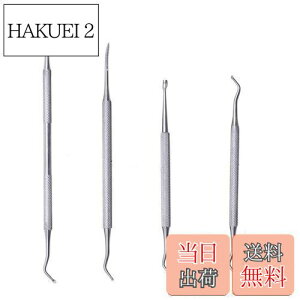 【送料無料】爪垢取り ステンレス製 爪リフター 爪やすり ゾンデ 甘皮処理 巻き爪 厚い爪 足 爪ケア フットケア ネイルケア 4点セット