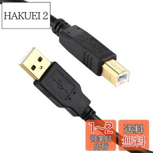 yzXBOHJOE USB 2.0 v^[P[u10m AIX-BIX bLRlN^Type BɃXLi[P[uA HPALmAuU[AGv\Af̕@ t@bNX@ Rs[ɑΉ u