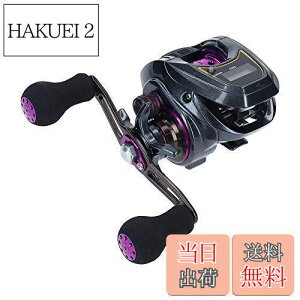 yz_C(DAIWA) LIGHT SW X IC R JE^[txCg[